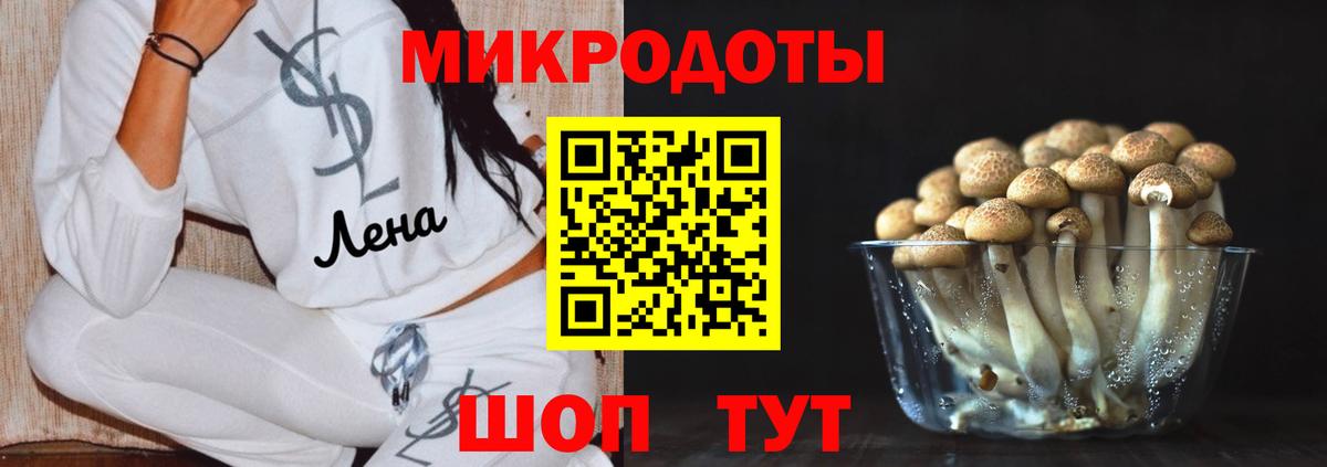 Северск  Галлюциногенные грибы Cubensis  Вход с VPN 